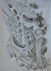 Bioorganika 2